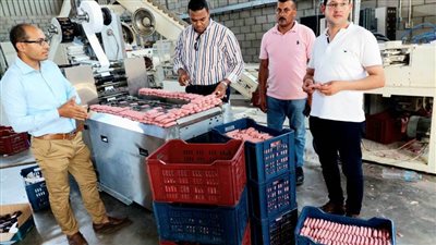 ضبط ٩ طن مخلل غير صالح للاستهلاك الآدمى في حملة بالبحيرة