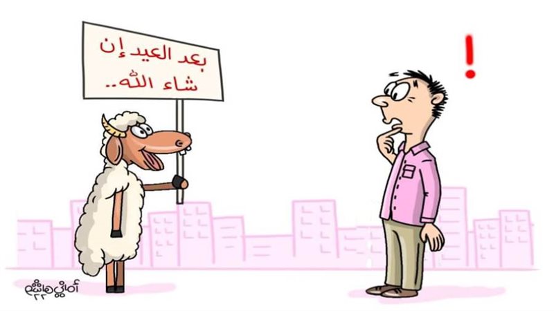 ريشة أماني هاشم