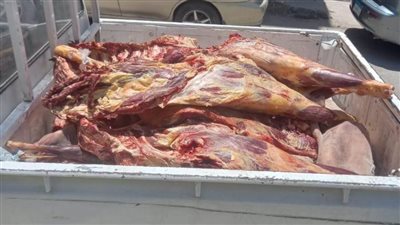 تموين المنيا تضبط 691 كيلو لحوم غير صالحة للاستهلاك