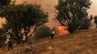 انتشار حرائق الغابات في جميع أنحاء ألبانيا بسبب ارتفاع درجات الحرارة