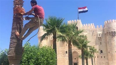 قلعة قايتباي تتجمل لاستقبال الزائرين في عيد الأضحى المبارك