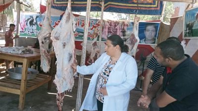 بالإسكندرية.. ضبط ٩٧٢ حالة إشغال وتحرير ٨٢٠ محضرا متنوعا و٨٧ ألف غرامة فورية