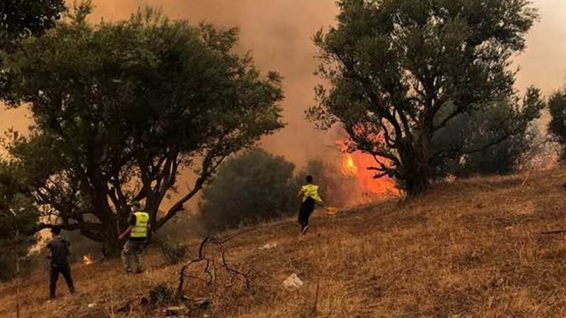 حرائق الغابات