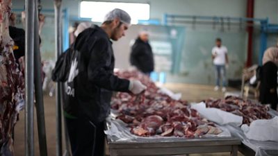 الإسكندرية تشدد على الالتزام بالتعامل الآمن مع لحوم الأضاحي ومخلفاتها 