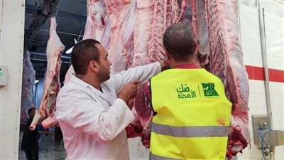 بدء عمليات ذبح رؤوس أضاحي 