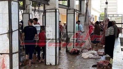 كفر الشيخ الثانية على الجمهورية لذبحها مجانًا 1140 أضحية