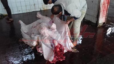 مدير الصحة العامة يكشف لـ