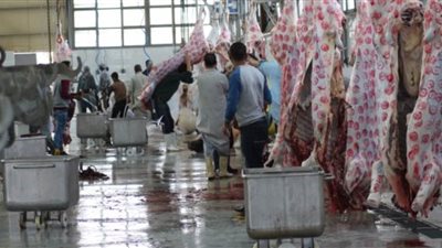 محافظ الجيزة: ذبح 2048 أضحية للمواطنين بالمجازر الحكومية خلال أول يومين للعيد