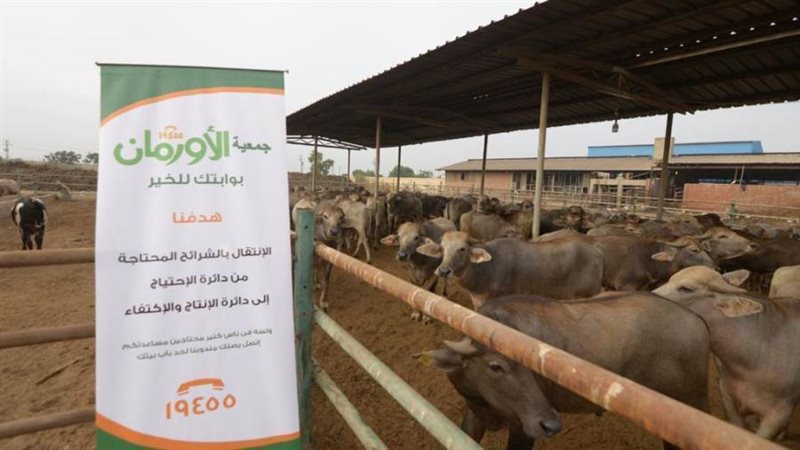 ذبح رؤوس الماشية