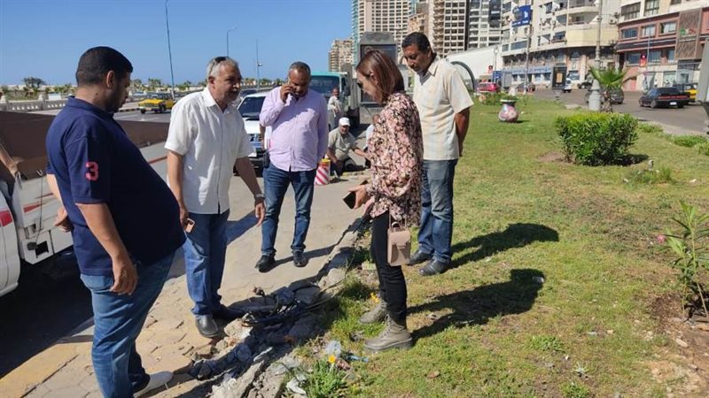 رفع كفاءة الحدائق