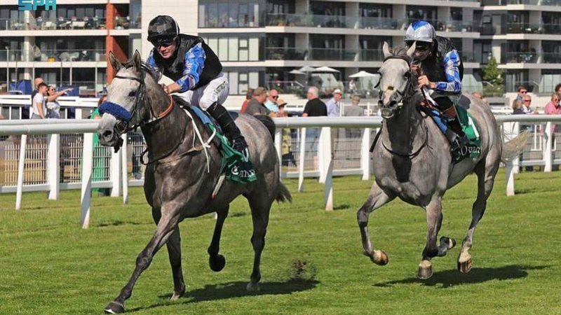 الفرس إكليل عذبة