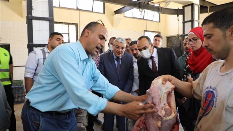 محافظ المنيا يتفقد