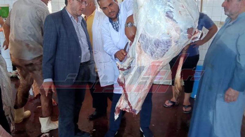 مجازر كفر الشيخ