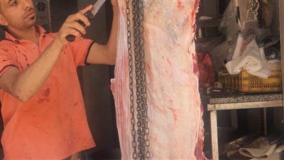  الطب البيطري يتابع ذبح الأضاحى خلال العيد بالإسماعيلية  