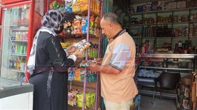 تحرير 32 محضرًا متنوعًا وضبط لحوم مجمدة غير صالحة بكفر الشيخ