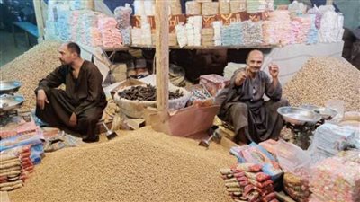 تحرير 48 مخالفة تموينية للمخابز البلدية خلال حملات رقابية بمركز العدوة بالمنيا