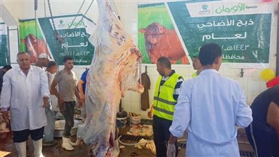 المجازر الحكومية بالمنيا تستقبل 1292 رأس ماشية متنوعة خلال عيد الأضحى
