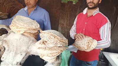 غلق مخبز وتحرير 30 محضرا متنوعا في حملة للرقابة على المخابز بالبحيرة