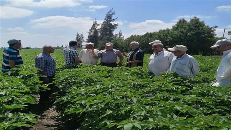 خلال الجولة التفقدية