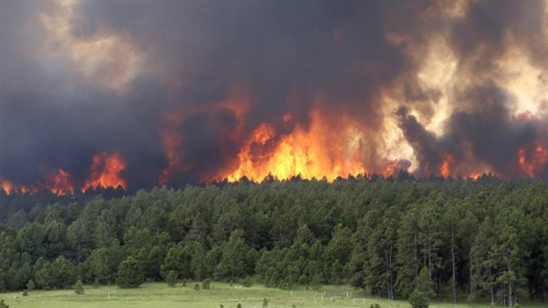 صورة أرشيفية