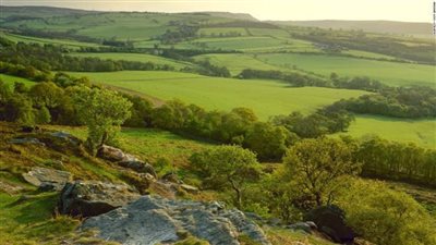 الطقس يجبر مزارعي بريطانيا على ضخ 30٪ مياه للحفاظ على المحاصيل