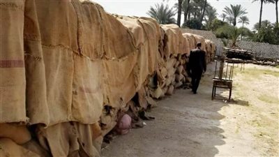 محافظ سوهاج: توريد أكثر من 108 آلاف طن أقماح حتى الآن