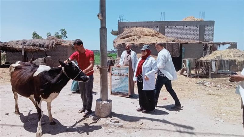 تحصين ١٨٢٩٠ رأس ماشية