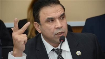 مدحت بركات: الرئيس السيسي وضع خارطة طريق لإنقاذ المنطقة من الفوضى