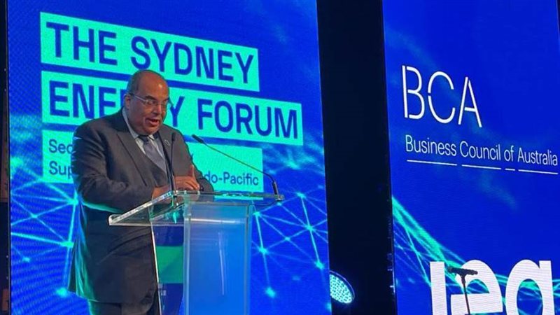 د. محمود محيي الدين