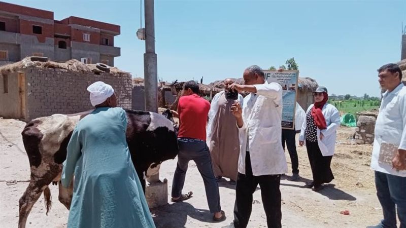 تحصين ٥٧٧٧٤ رأس ماشية