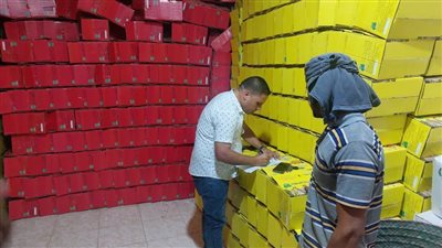 تموين برج العرب يضبط مصنع مقرمشات بدون ترخيص 