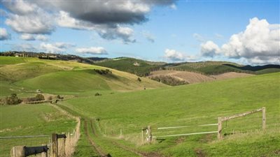 تقرير بيئي يكشف جحيم تغير المناخ على الأراضي الأسترالية