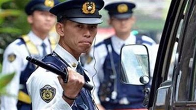 الشرطة اليابانية تتعقب قردًا هاجم 10 أشخاص من بينهم طفل