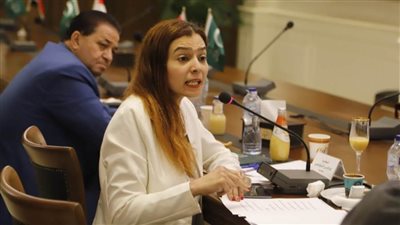 هاجر التونسي ممثلة للمرأة عن الوفد في لجنة الحوار الوطني