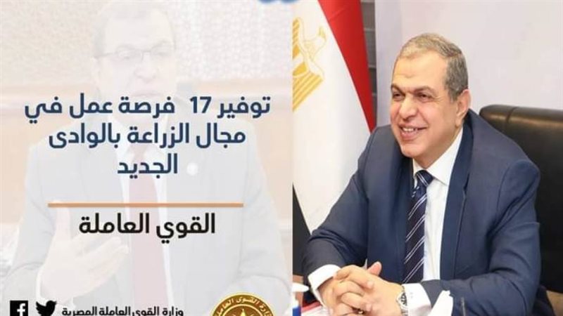 توفير فرص عمل بشرق