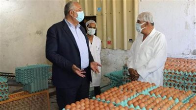 وزير الزراعة يتفقد مشروع إنتاج الدجاج البياض بالعامرية