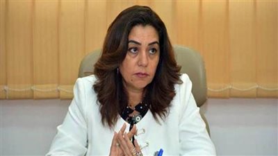 محافظ دمياط تشيد برؤى برنامج 