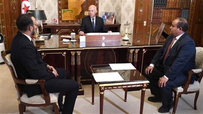 الرئيس التونسي يتهم أطرافها بالتشويش 