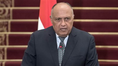 شكري: جولات الرئيس السيسي الخارجية تؤكد استمرار التنسيق مع شركاء مصر على كافة الأصعدة