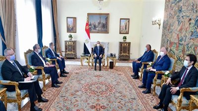 الرئيس السيسي يؤكد على أهمية تغليب لغة الحوار والحلول الدبلوماسية للأزمة الروسية الأوكرانية