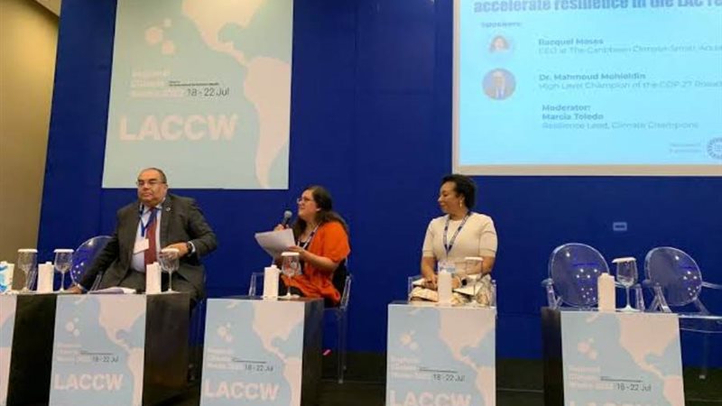 محمود محيي الدين