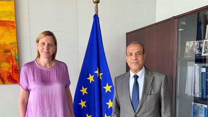 السفير بدر عبدالعاطي