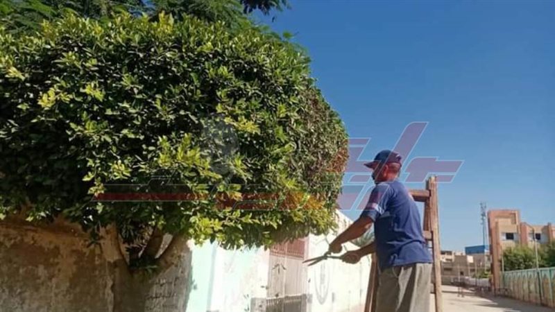 قص وتهذيب الأشجار