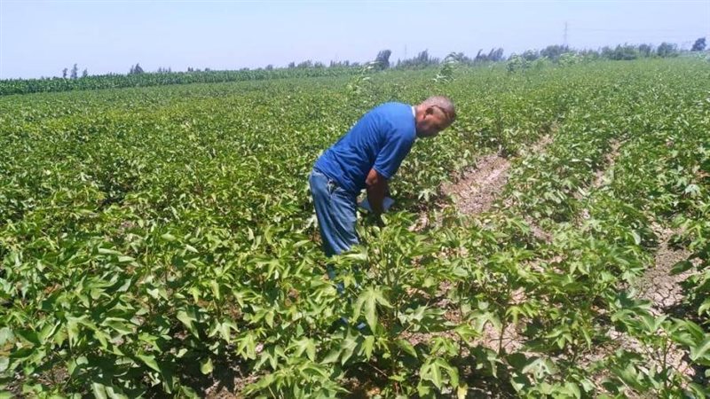 بدء الرش الوقائى