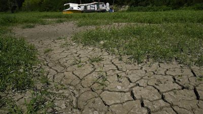 اتحاد المزارعين الإيطاليين: انخفاض إنتاج المحاصيل الزراعية 45% بسبب الجفاف الشديد