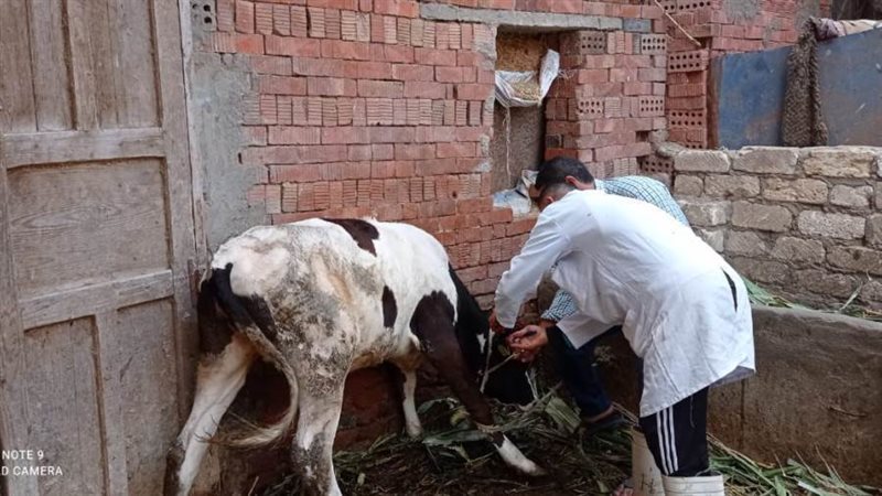 جانب من حملات التحصين