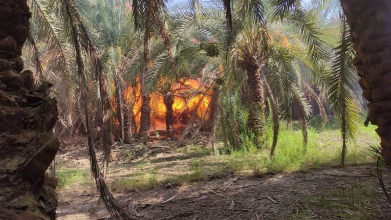 اللواء الزملوط يعلن