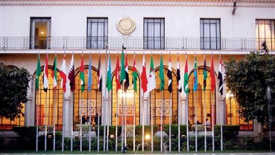    بعثة جامعة الدول العربية لتونس: عملية الاستفتاء على مشروع الدستور اتسمت بالتنظيم والسلاسة