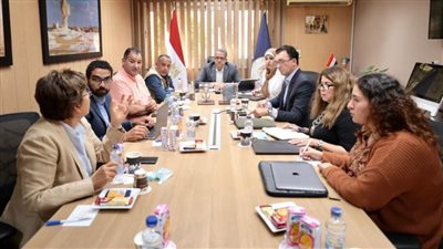 العناني يناقش الاستعدادات للاحتفال بمرور 200 عام على 