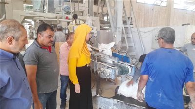 ضبط وتحرير 25 محضرا تموينيا بالعريش